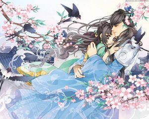 张金鱼吕总提取码